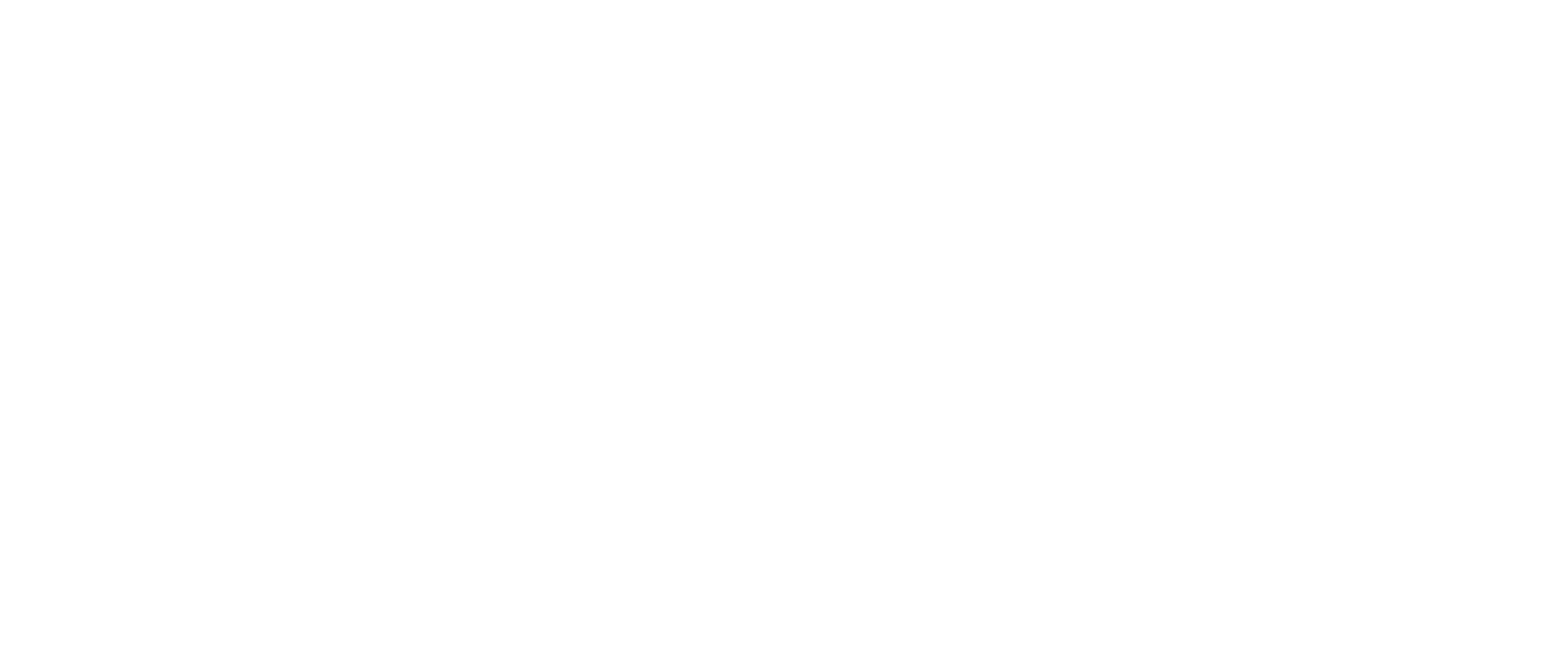 BIM_Logo_Zusatz_rgb_white